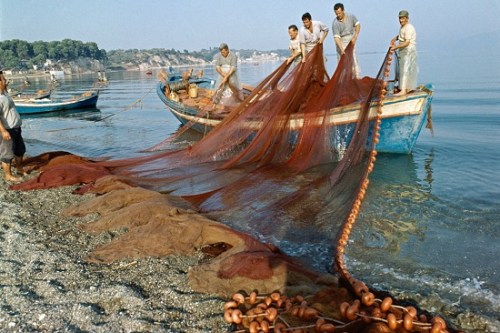 希腊渔民在作业。图片来源：联合国网站。
