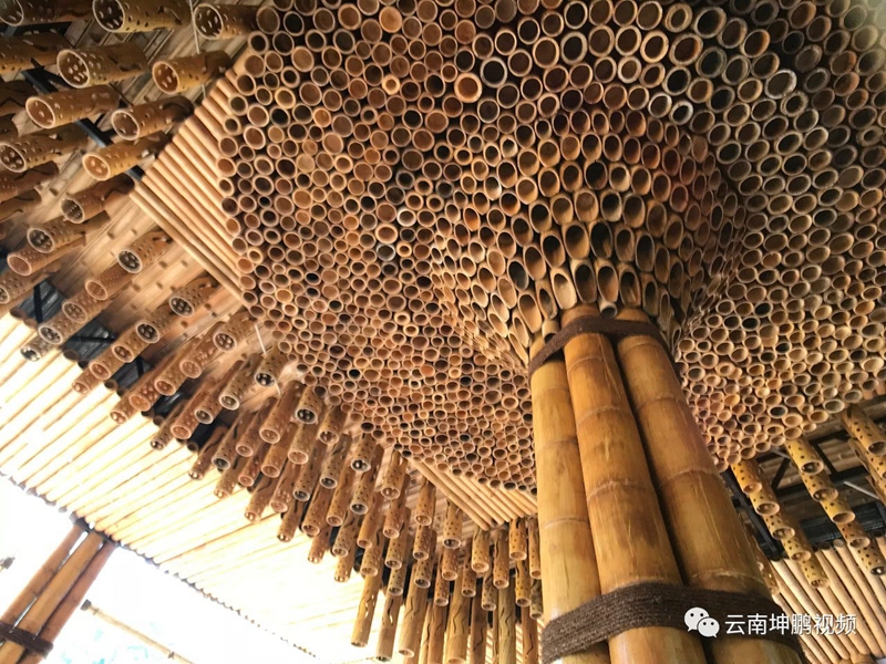 野象群拖儿带女探访亚洲普洱竹博园