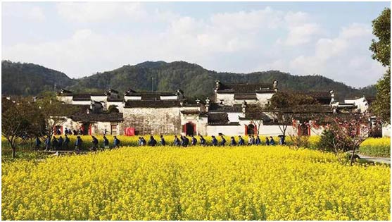 趣花海悦骑行 第四届黟县花海骑行旅游文化节