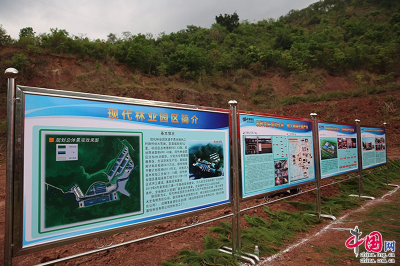 云南镇沅年产24万吨饲料加工厂建设项目开工