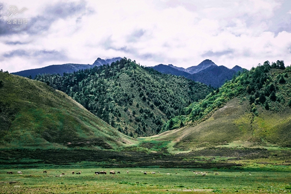 秘境百马三十七站:神行太保跑过茶盐古道 探