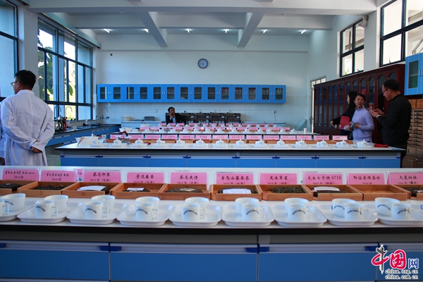 2018年“中国茶普洱味”品鉴会在普洱举行