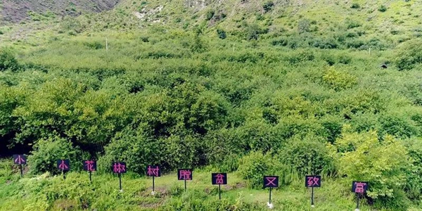 香格里拉市三年扶贫减少贫困人口1.7万余人