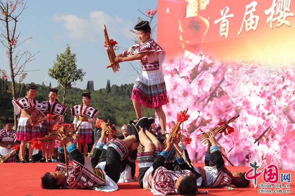 曲靖马龙首届樱花节暨美食节今日开幕