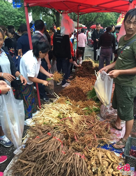 浅析药膳养生文化——以普洱“b体育百草根”文化美食节为例(图10)