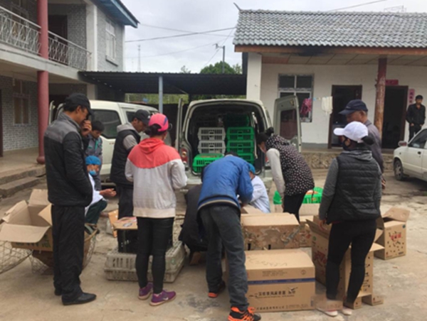 香格里拉尼西乡乐土奏欢歌民族团结共发展