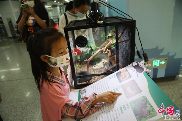 昆明地铁推出cop15系列宣传活动