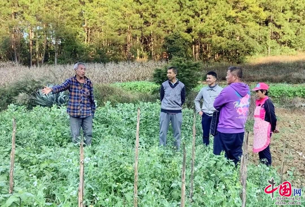 普洱思茅区万名人才兴万村行动成效初显