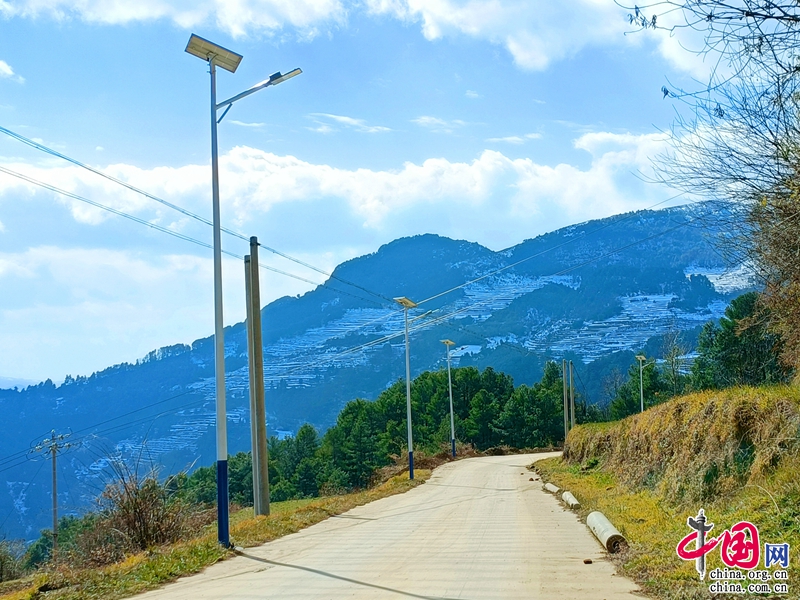 云南巧家县医保局路灯点亮乡村振兴路