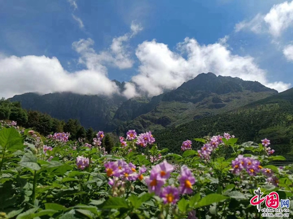 俗话说,东川有三宝:面条,洋芋,红土地.