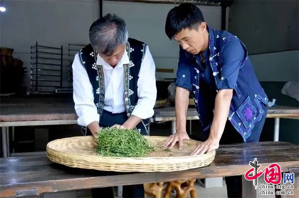 JN江南体育云南普洱茶（贡茶）制作技艺获“中国传统制茶技艺及其相关习俗”证书(图4)