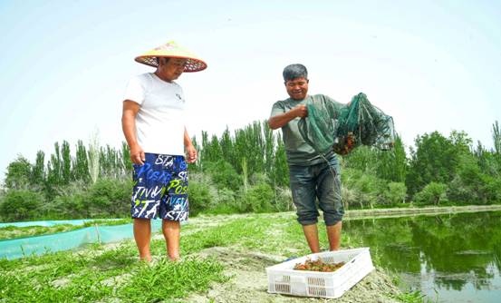 致富经小龙虾_致富经龙虾养殖视频全集_致富经小龙虾养殖视频播放