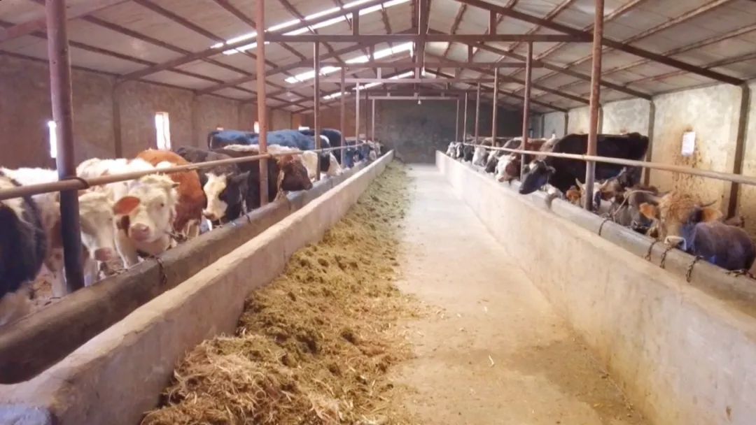 畜牧养殖业未易游娱乐城- YY易游体育官方网站- 易游体育APP来朝着将这几个方向发展