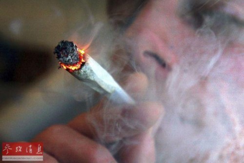 关于大麻的22件事