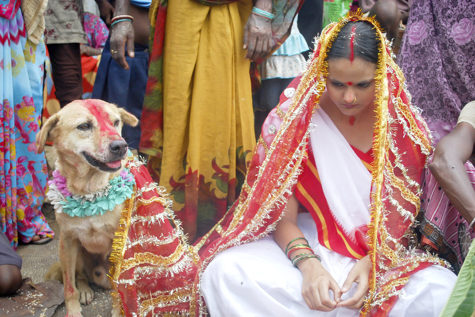 印度18岁女子被迫与流浪狗结婚