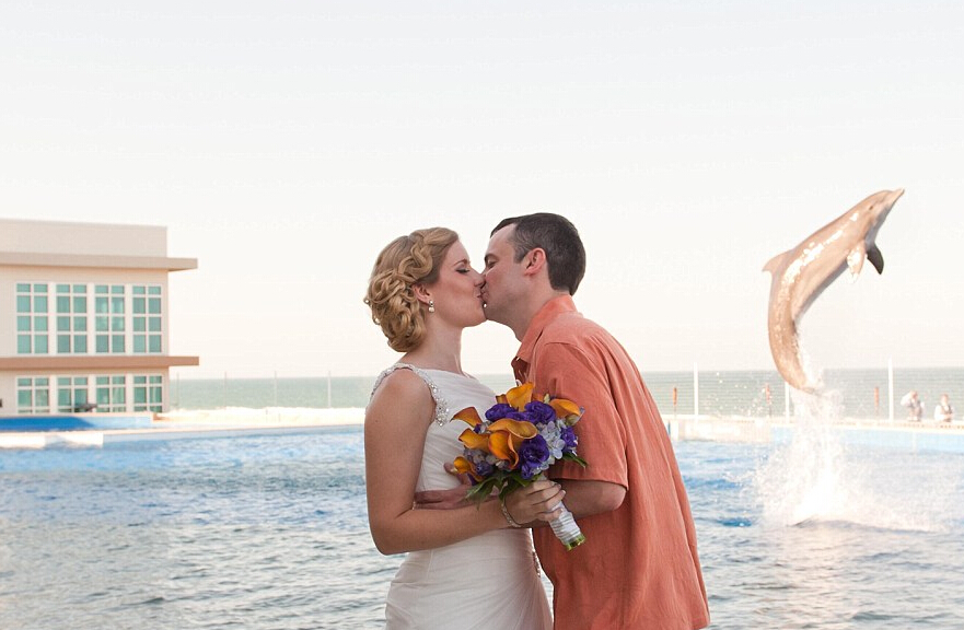 美夫妇拍摄结婚照 亲吻时遭海豚抢镜