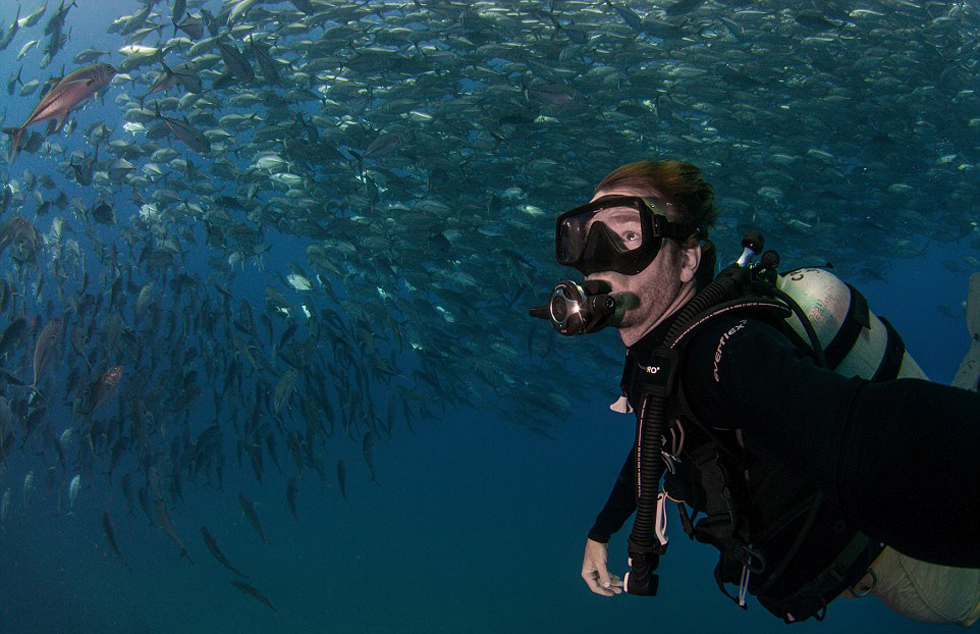 澳夫妇潜水遇鱼群“包围” 镜头记录震撼景象