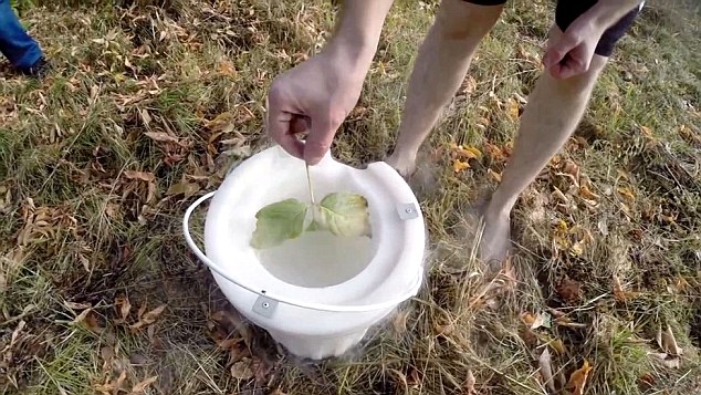 俄科学家用零下195度液氮完成“冰桶挑战”