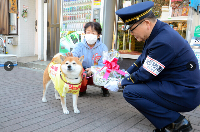 日本“神犬”身兼两职 卖烟防火两不误