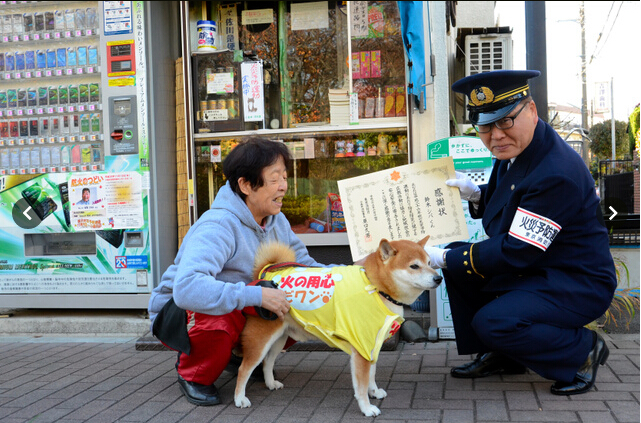 日本“神犬”身兼两职 卖烟防火两不误