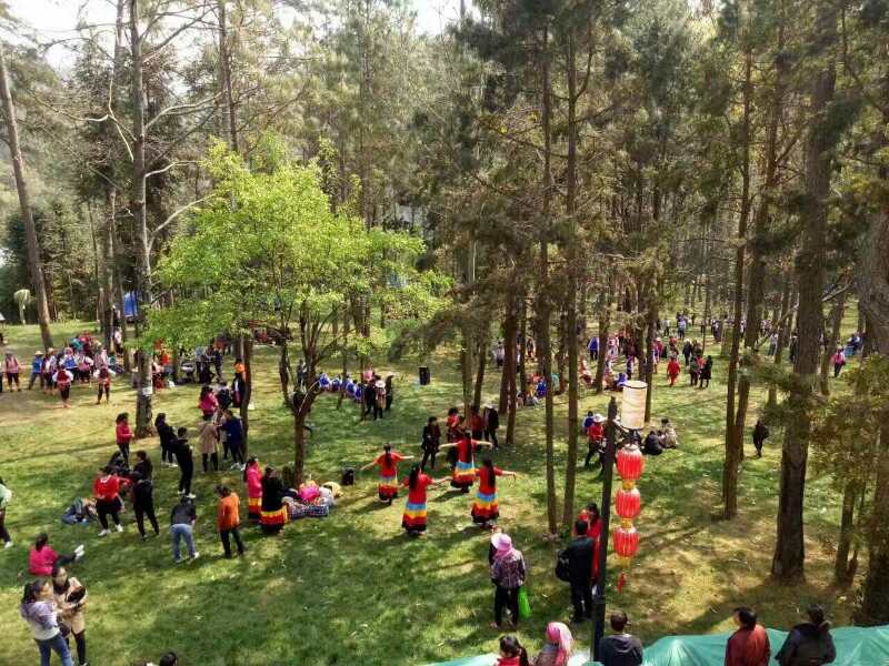 云南石屏:宝秀镇多举措打造乡村文化旅游业