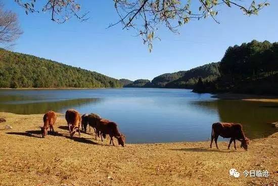 临沧双江:加快构建冰岛旅游圈 旅游收入力争达