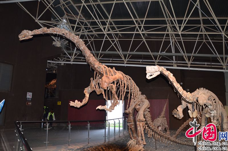 楚雄世界恐龙谷景区将打造现实的侏罗纪公园