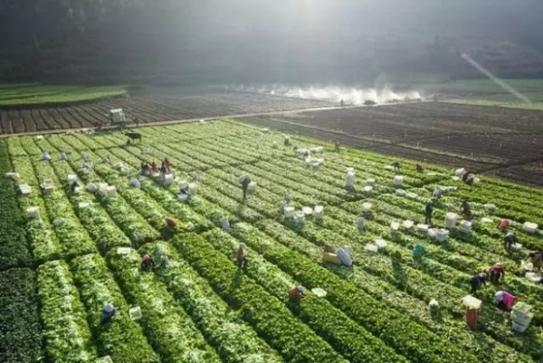 砚山县人口_砚山县平远镇照片