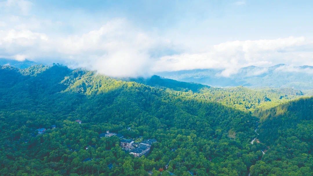 航拍海南热带雨林国家公园体制试点区五指山林区 (方山摄)