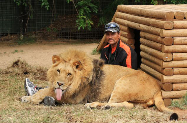 美動物園雄獅和小狗形影不離成好夥伴