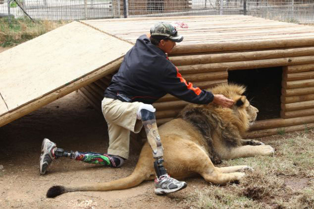 美動物園雄獅和小狗形影不離成好夥伴