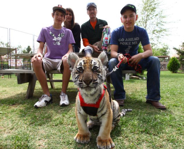 美動物園雄獅和小狗形影不離成好夥伴