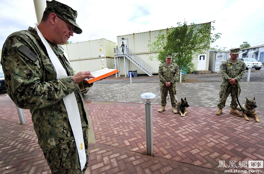 各国军犬训练大比拼：中美艺高人胆大 印度最奇葩