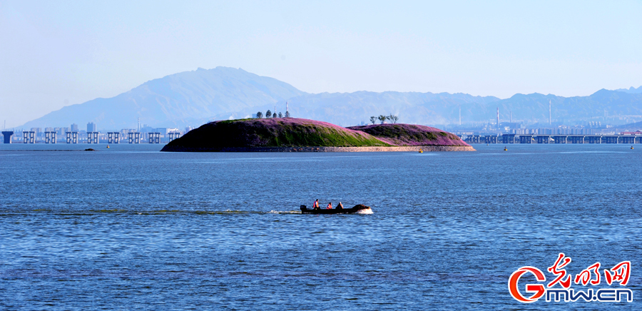 黄河风情“醉”内蒙