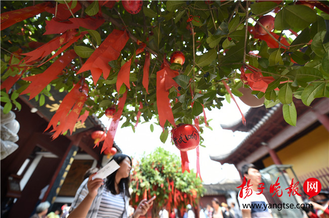 中高考临近 南京夫子庙许愿“苹果”挂满树
