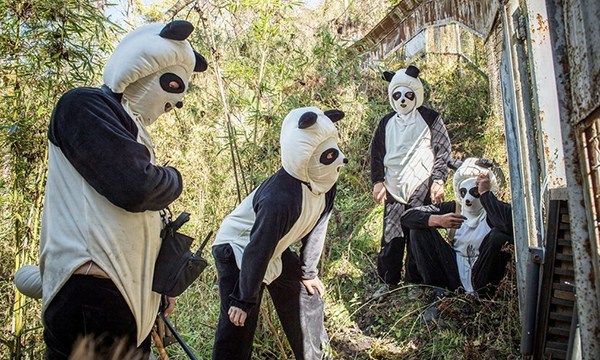 为拍野生熊猫 摄影师披上“熊猫皮”