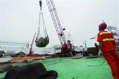 2700吨阿根廷鱿鱼“游”进青岛