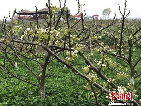 湖南衡阳举行乡村生态旅游节呈现“四个首次”特色
