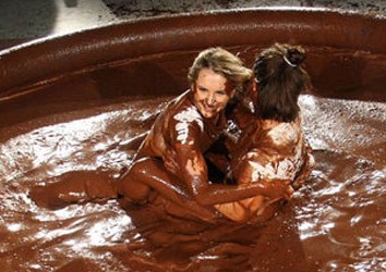 关于精神卫生法进退之间的毕业论文模板范文