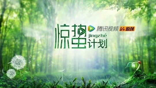 【分析】腾讯视频惊蛰计划惊动了谁?