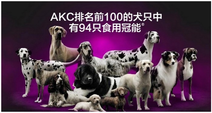 冠能告诉你狗狗该如何正确喂养