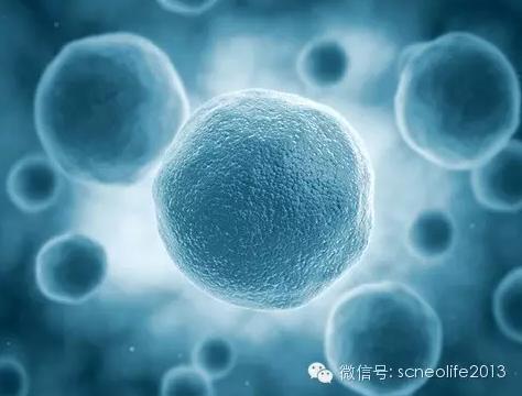 四川新生命干细胞科技股份有限公司即将开启免