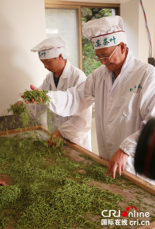 恩施巴东郡贡茶亮相第二届中国国际茶叶博览
