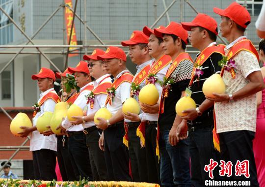 中国柚类第一县再办蜜柚节力拓海外市场（图）