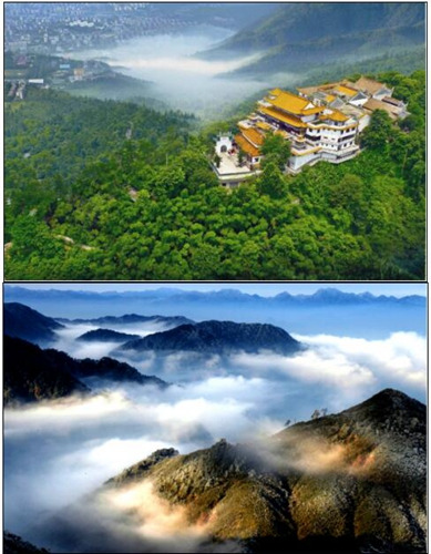 “风景名城”郴州将举办第二届中国域名节