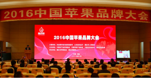 2016中国苹果品牌大会在烟台市召开：品牌是竞争力