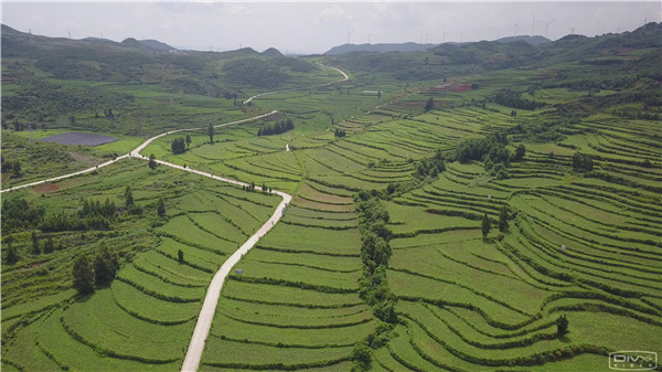 贵州省六盘水市:精准聚焦八要素 下足农业产