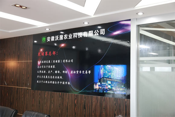 庐阳区查处一涉嫌非法集资案件