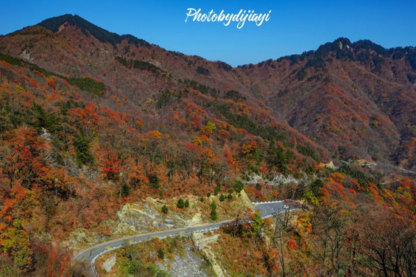 马鬃岭最美时刻到了!大别山邀您来赴一场"秋的盛宴!