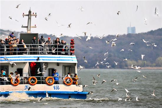 加快建设生态文明 全力打造魅力无锡